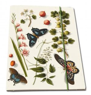 Portfoliomap A4: Flowers and butterflies, The Fitzwilliam Museum