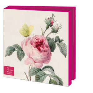 Kaartenmapje met env, vierkant: Roses, The Fitzwilliam Museum