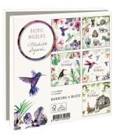 Kaartenmapje met env, vierkant: Exotic Wildlife, Michelle Dujardin