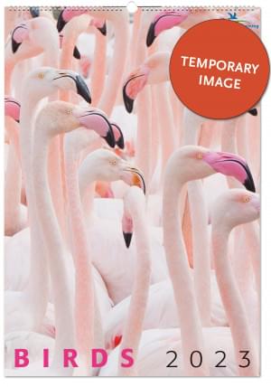 Birds posterkalender 2023, Vogelbescherming