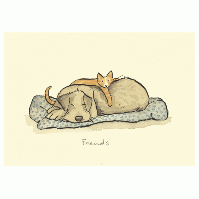 Friends by Anita Jeram