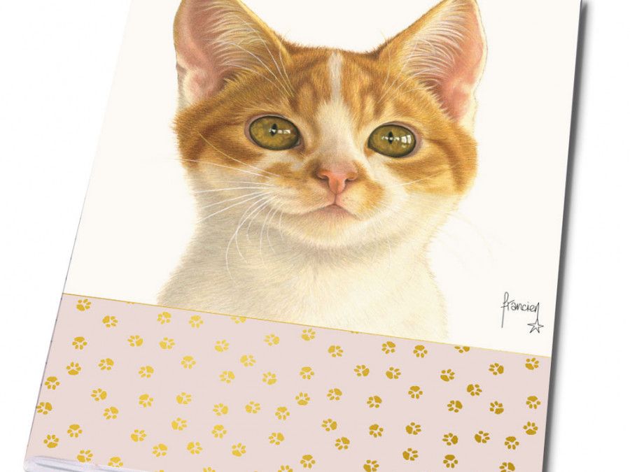 Heft A5: Franciens katten, Francien van Westering kaufen | Bekking & Blitz