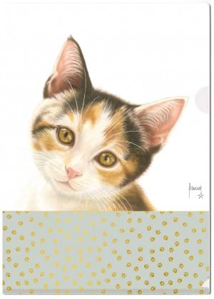 L-mapje A4 formaat: Franciens katten, Francien van Westering