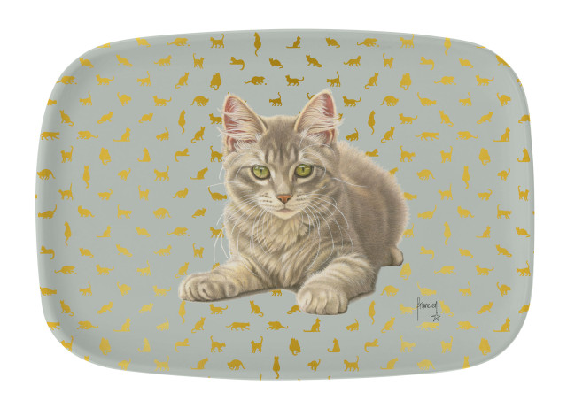 Dienblad: Franciens katten, Francien van Westering