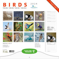 Birds maandkalender 2024, Vogelbescherming