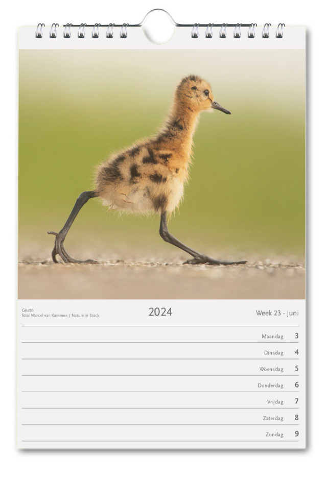 Nederland Natuurland weekkalender 2024