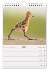 Nederland Natuurland weekkalender 2024