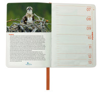 Vogelbescherming mini agenda 2024