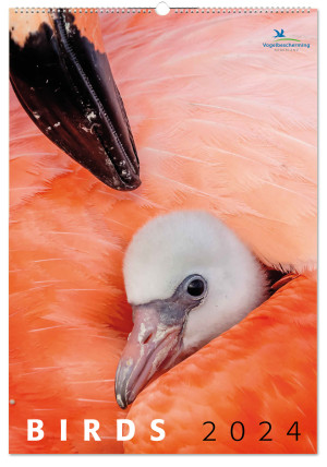 Birds posterkalender 2024, Vogelbescherming