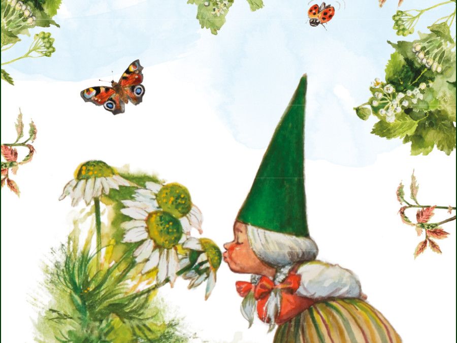 Buy Poster: Kabouter, Rien Poortvliet | Bekking & Blitz