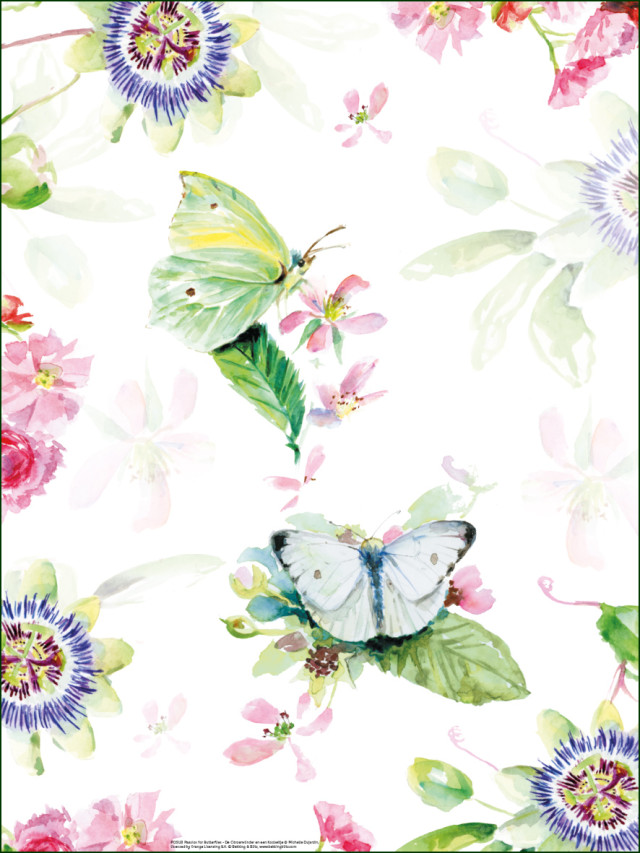 Poster: Passion for Butterflies (De Citroenvlinder en een Koolwitje), Michelle Dujardin