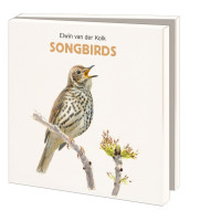 Kaartenmapje met env, vierkant: Songbirds, Elwin van der Kolk, Vogelbescherming
