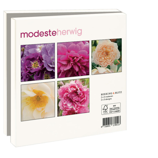 Kaartenmapje met env, vierkant: Roses, Modeste Herwig