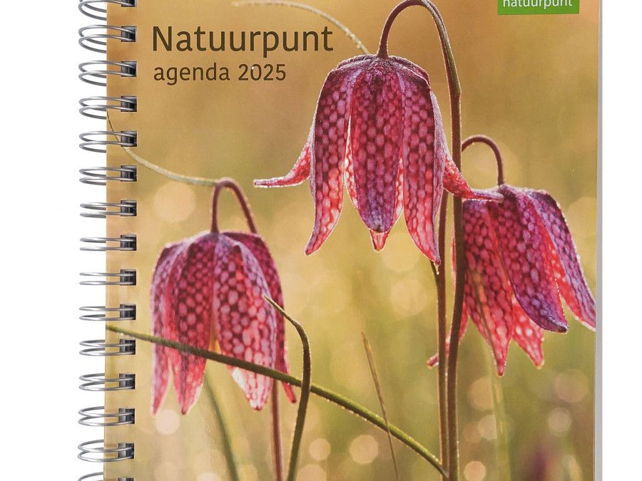 Natuurpunt Vlaanderen (Flämischer Naturschutzbund) Wochenagenda 2025