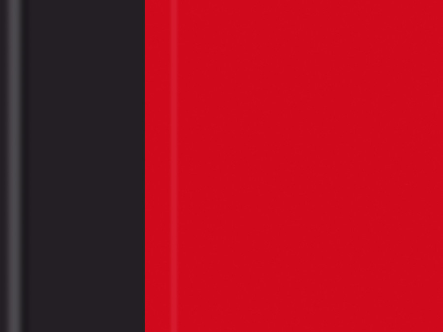 Buy Combi agenda A5 dag 2025 Bekking & Blitz