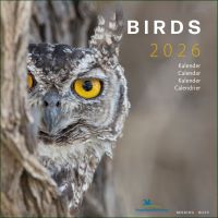 Birds maandkalender 2026, Vogelbescherming