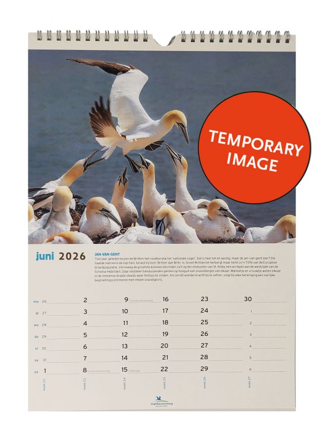 Vogelbescherming maandkalender 2026
