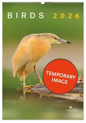 Birds posterkalender 2026, Vogelbescherming