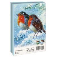 Kaartenmapje met env, klein: Robin in the Winter, Brian Rushton