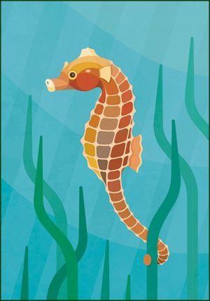 Kortsnuitzeepaardje, Naturalis