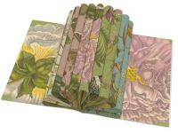 Cadeaupapier: Maria Sibylla Merian, Rijksmuseum Amsterdam