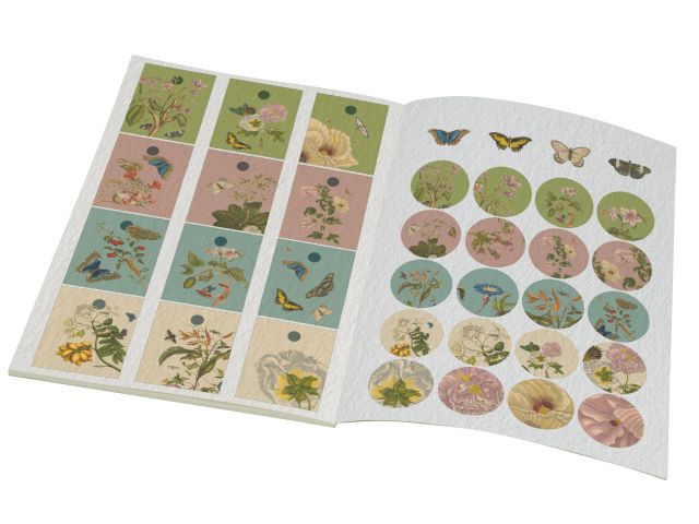 Cadeaupapier: Maria Sibylla Merian, Rijksmuseum Amsterdam