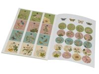 Cadeaupapier: Maria Sibylla Merian, Rijksmuseum Amsterdam