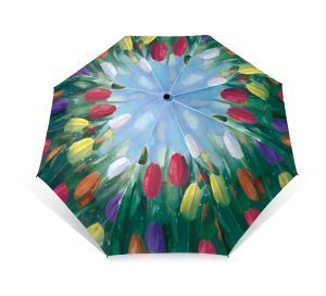 Vouwparaplu:Tulipfields, Sietse Wiersma