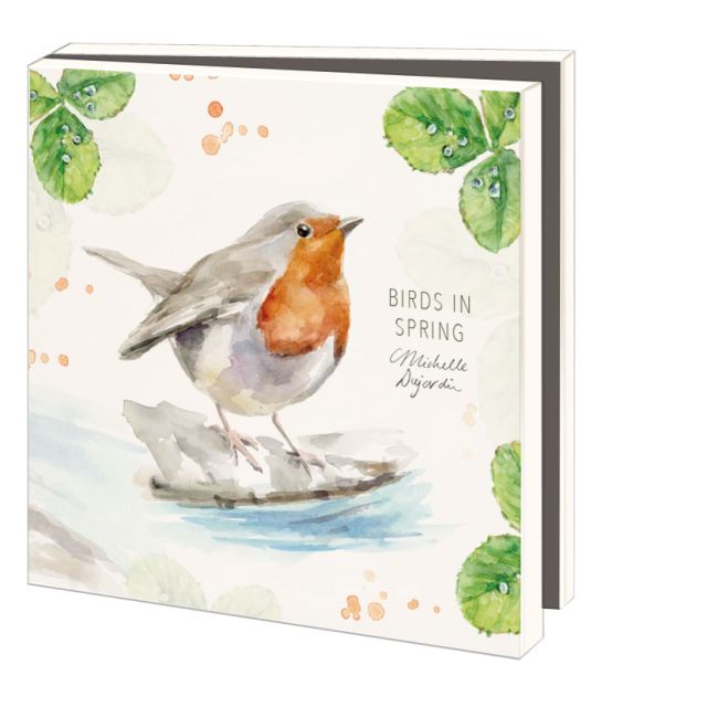 Kaartenmapje met env, vierkant:Birds in spring, Michelle Dujardin