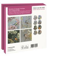 Kaartenmapje met env, vierkant: Birds and blossoms, Elwin van der Kolk