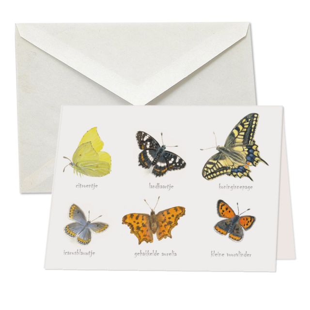 Vlinders, Citroetje, Elwin van de Kolk 