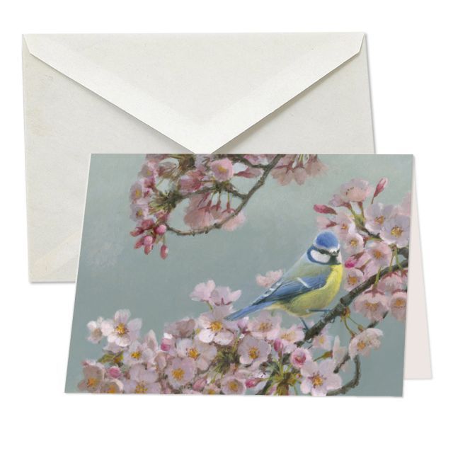 Pimpelmees in prunus - blue tit, Elwin van de Kolk
