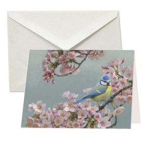 Pimpelmees in prunus - blue tit, Elwin van de Kolk