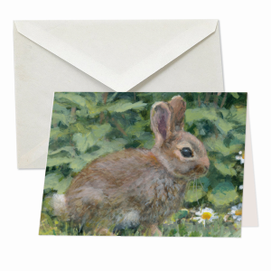 Konijn, Elwin van de Kolk