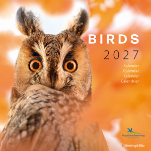 Birds maandkalender 2027, Vogelbescherming