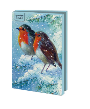 Kaartenmapje met env, groot: Robin in the winter, Brian Rushton
