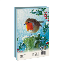 Kaartenmapje met env, groot: Robin in the winter, Brian Rushton