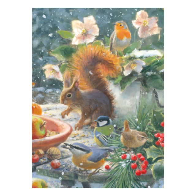 Theedoek: A Robin’s Winter, Elwin van der Kolk, Vogelbescherming