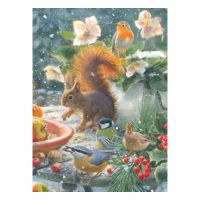 Theedoek: A Robin’s Winter, Elwin van der Kolk, Vogelbescherming