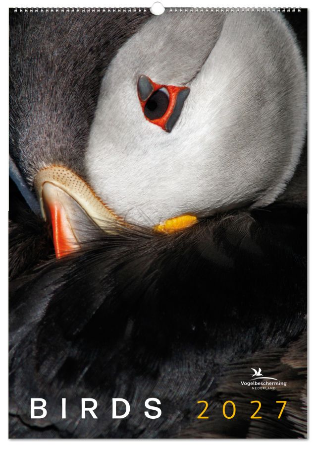 Birds posterkalender 2027, Vogelbescherming