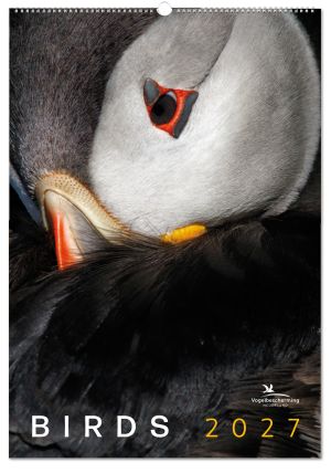 Birds posterkalender 2027, Vogelbescherming