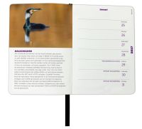 Vogelbescherming mini agenda 2027