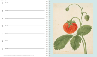 Boijmans van Beuningen weekagenda 2027