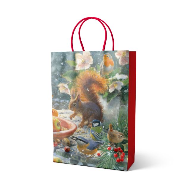 Paperbag A4: A Robin’s Winter, Elwin van der Kolk, Vogelbescherming