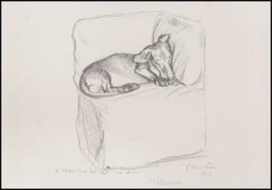 Dachshund on an Armchair, Félix Vallotton