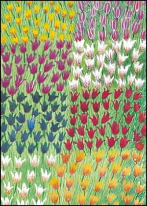Tulpenveld, Fiep Westendorp