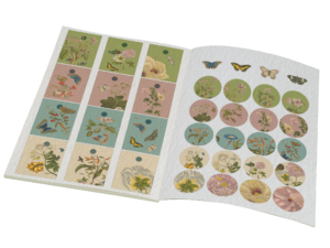 Cadeaupapier: Maria Sibylla Merian, Rijksmuseum Amsterdam
