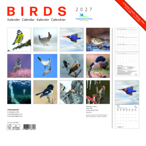 Birds maandkalender 2027, Vogelbescherming
