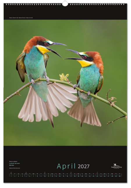 Birds posterkalender 2027, Vogelbescherming