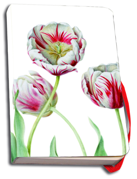 Notitieboek A6, zachte kaft: Tulipa 'Teyler', Anita Walsmit Sachs
